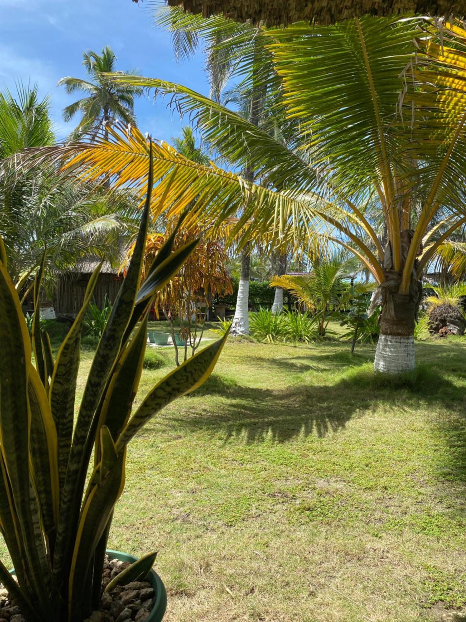 Zefiro Hostal San Bernardo del Viento Eksteriør billede
