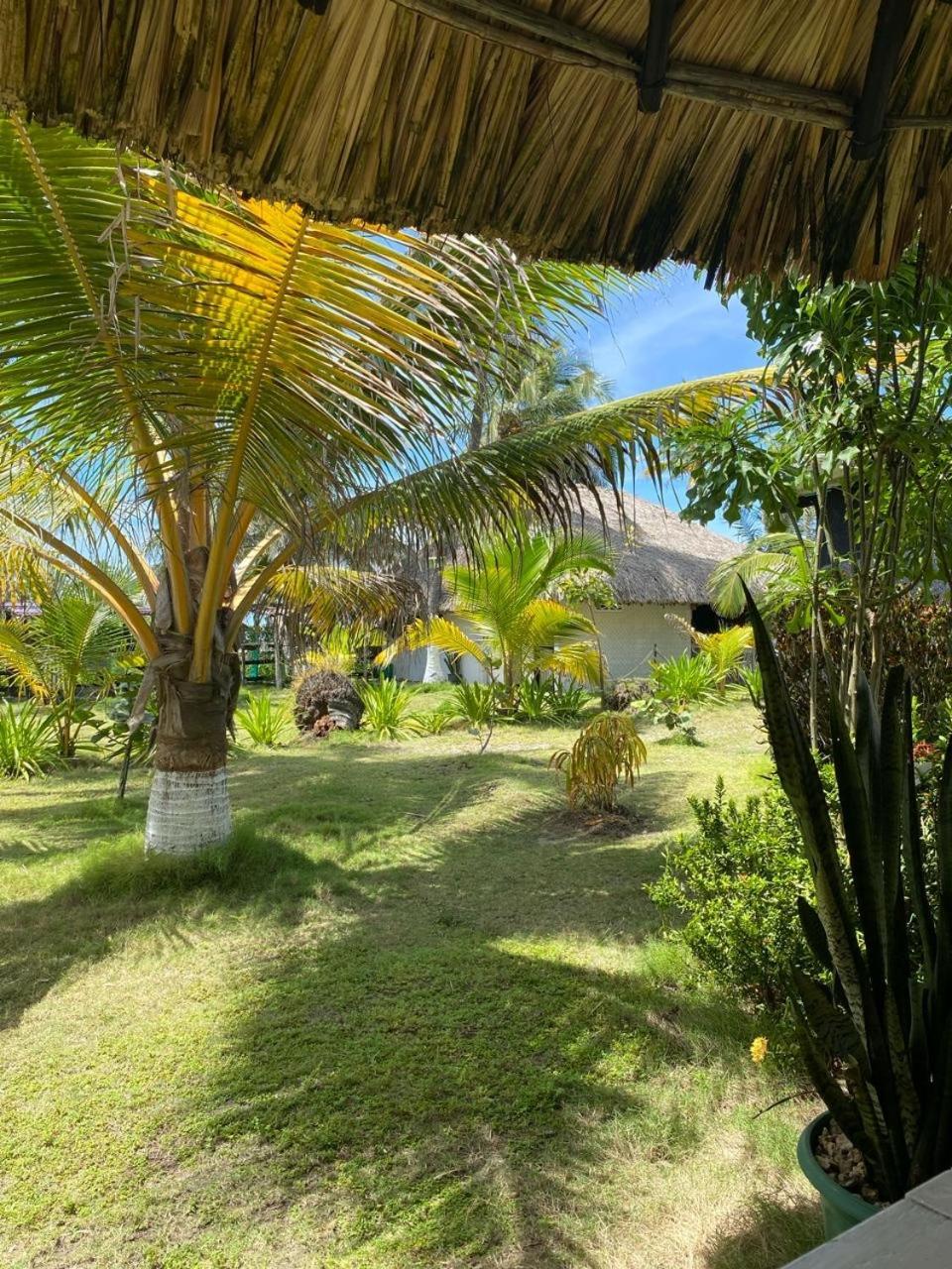 Zefiro Hostal San Bernardo del Viento Eksteriør billede