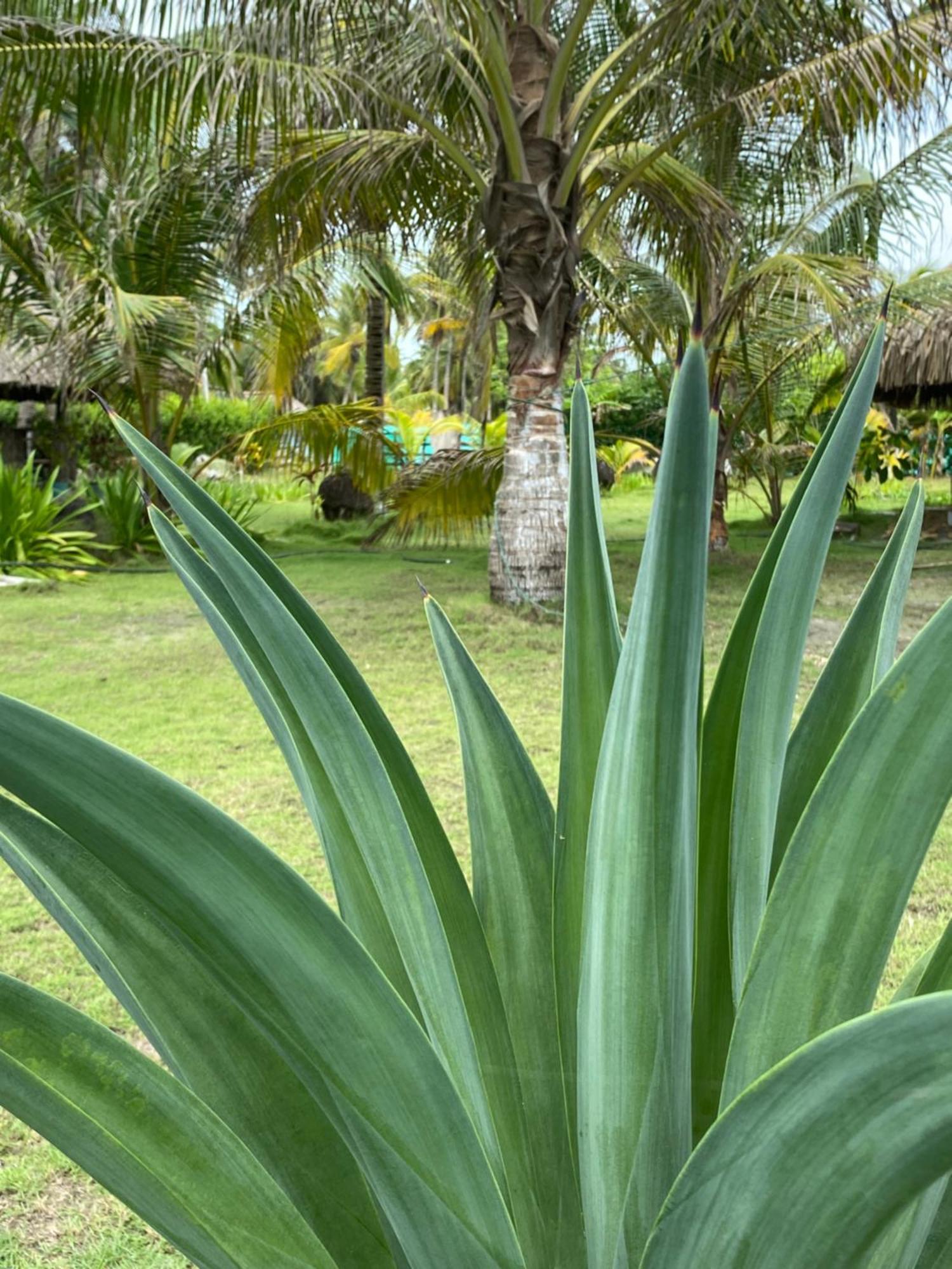 Zefiro Hostal San Bernardo del Viento Eksteriør billede